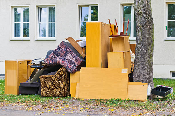 Best Furniture Removal Near Me  in Carrollwood, FL